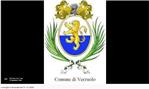 Consiglio comunale