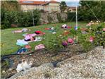 Settembre Ragazzi