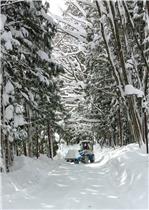 Neve