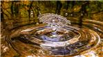Acqua